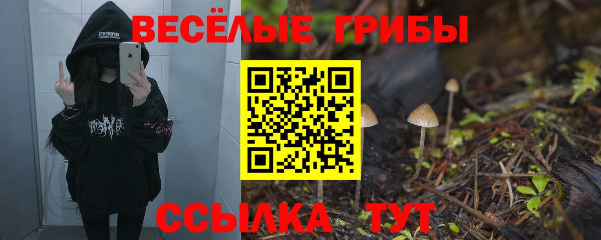 Псилоцибиновые грибы Psilocybe  Галлюциногенные грибы Cubensis  Вход с VPN  Дзержинский 